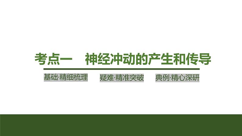 2024年高考生物大一轮选择性必修1复习课件：第31讲　神经冲动的产生和传导及神经系统的分级调节第4页