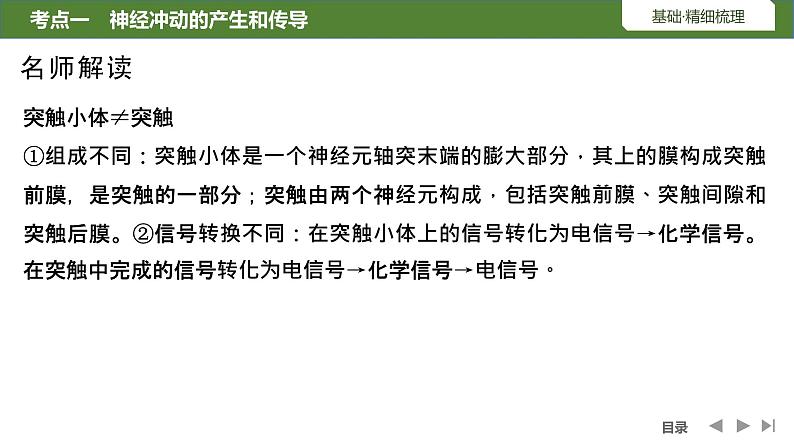 2024年高考生物大一轮选择性必修1复习课件：第31讲　神经冲动的产生和传导及神经系统的分级调节第7页