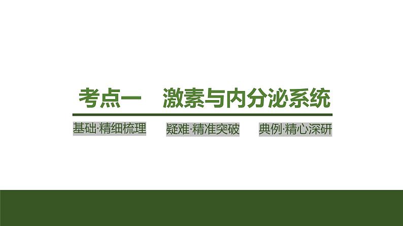 2024年高考生物大一轮选择性必修1复习课件：第32讲　激素调节的过程第4页