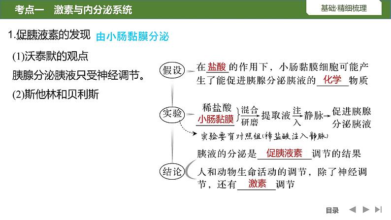 2024年高考生物大一轮选择性必修1复习课件：第32讲　激素调节的过程第5页