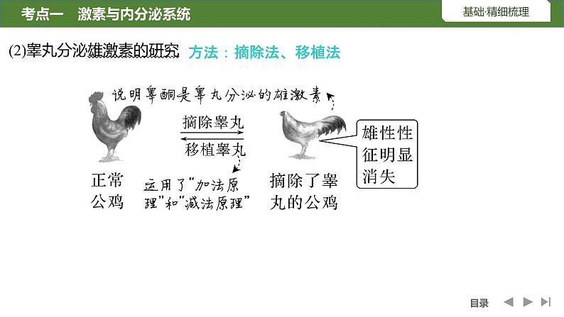 2024年高考生物大一轮选择性必修1复习课件：第32讲　激素调节的过程第8页