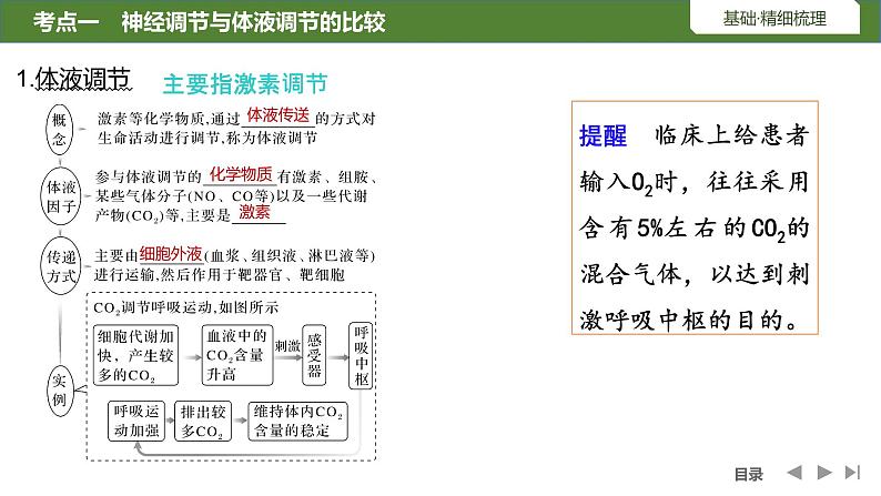 2024年高考生物大一轮选择性必修1复习课件：第33讲　体液调节与神经调节的关系05