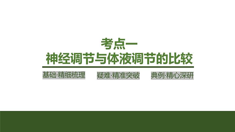 2024年高考生物大一轮选择性必修1复习课件：第33讲　体液调节与神经调节的关系04