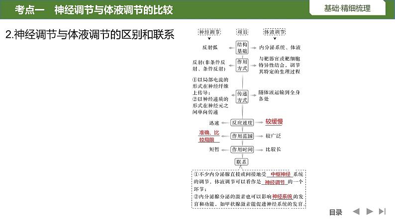 2024年高考生物大一轮选择性必修1复习课件：第33讲　体液调节与神经调节的关系06