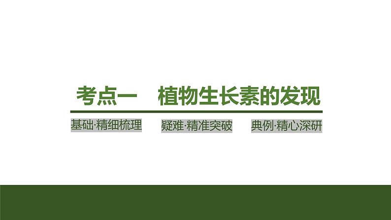 2024年高考生物大一轮选择性必修1复习课件：第36讲　植物生长素及其生理作用04