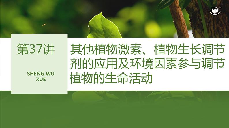 2024年高考生物大一轮选择性必修1复习课件：第37讲　其他植物激素、植物生长调节剂的应用及环境因素参与调节植物的生命活动01