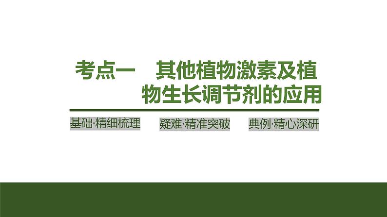 2024年高考生物大一轮选择性必修1复习课件：第37讲　其他植物激素、植物生长调节剂的应用及环境因素参与调节植物的生命活动04