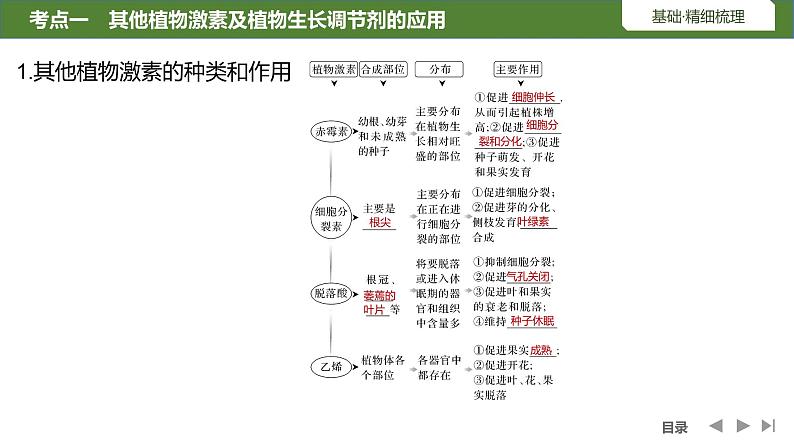 2024年高考生物大一轮选择性必修1复习课件：第37讲　其他植物激素、植物生长调节剂的应用及环境因素参与调节植物的生命活动05