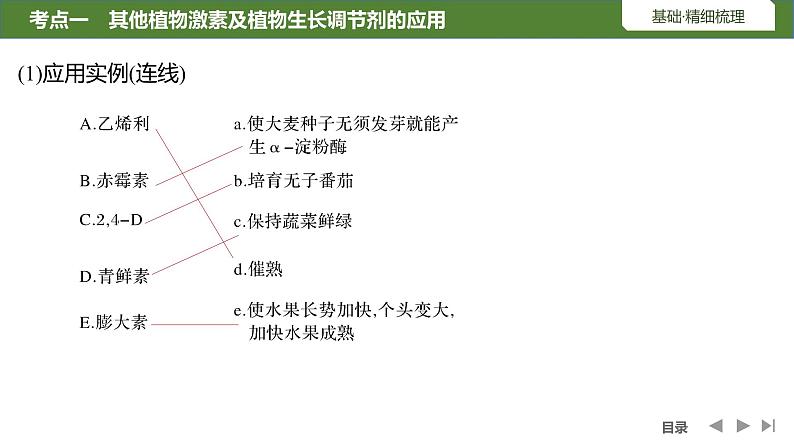 2024年高考生物大一轮选择性必修1复习课件：第37讲　其他植物激素、植物生长调节剂的应用及环境因素参与调节植物的生命活动08