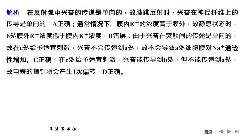 2024年高考生物大一轮选择性必修1复习课件：热点微练7 兴奋传导与传递的相关实验探究第3页