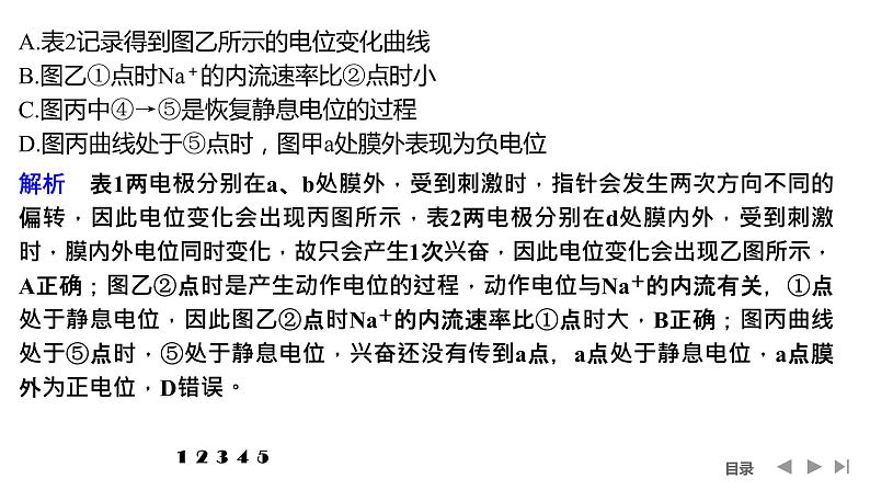 2024年高考生物大一轮选择性必修1复习课件：热点微练7 兴奋传导与传递的相关实验探究第5页