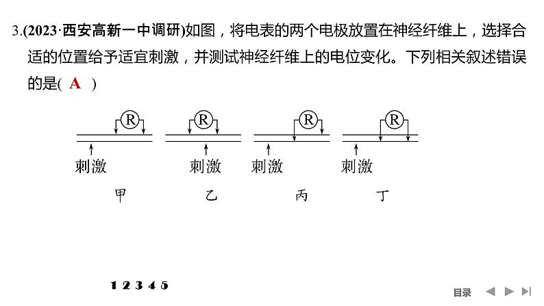 2024年高考生物大一轮选择性必修1复习课件：热点微练7 兴奋传导与传递的相关实验探究第6页