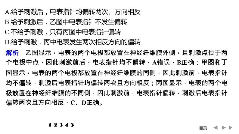 2024年高考生物大一轮选择性必修1复习课件：热点微练7 兴奋传导与传递的相关实验探究第7页