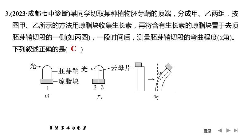 2024年高考生物大一轮选择性必修1复习课件：热点微练9 与植物激素相关的实验设计第6页