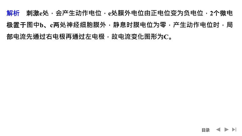 2024年高考生物大一轮选择性必修1复习课件：微专题7 兴奋传导与传递的相关实验探究第4页