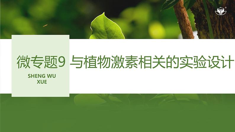 2024年高考生物大一轮选择性必修1复习课件：微专题9 与植物激素相关的实验设计第1页