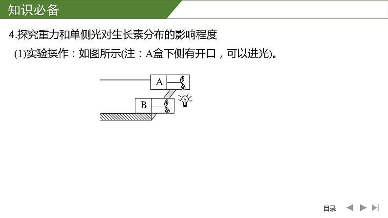 2024年高考生物大一轮选择性必修1复习课件：微专题9 与植物激素相关的实验设计第5页