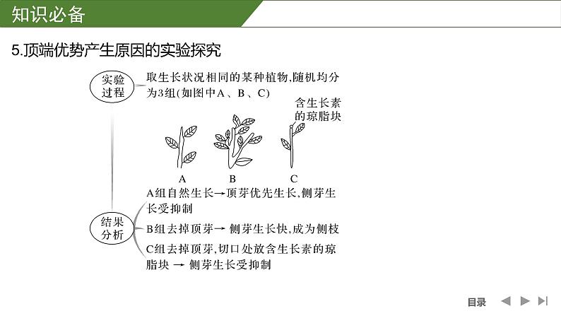 2024年高考生物大一轮选择性必修1复习课件：微专题9 与植物激素相关的实验设计第7页