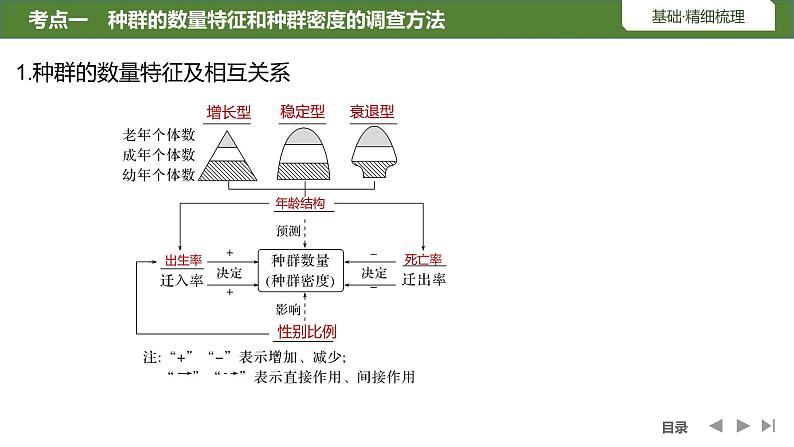 2024年高考生物大一轮选择性必修2复习课件：第38讲　种群及其动态05