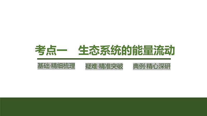 2024年高考生物大一轮选择性必修2复习课件：第41讲　生态系统的能量流动第4页