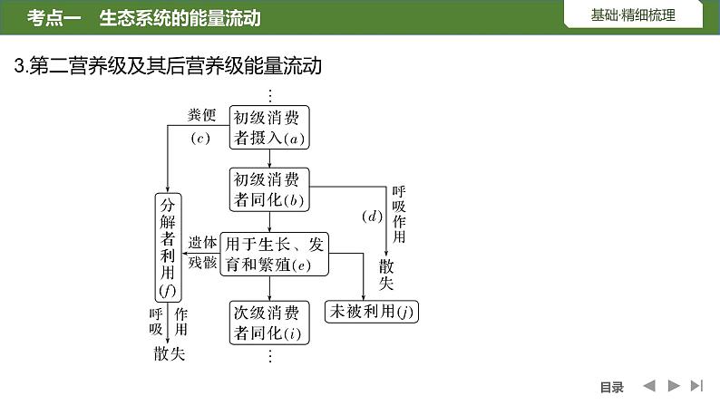 2024年高考生物大一轮选择性必修2复习课件：第41讲　生态系统的能量流动第8页