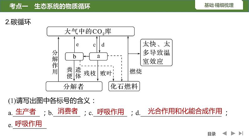 2024年高考生物大一轮选择性必修2复习课件：第42讲　生态系统的物质循环和信息传递06