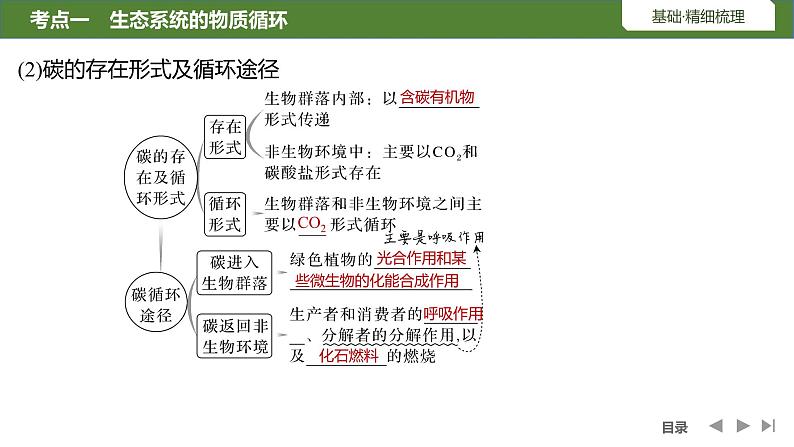 2024年高考生物大一轮选择性必修2复习课件：第42讲　生态系统的物质循环和信息传递07