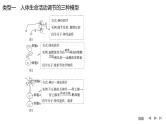 2024年高考生物大一轮选择性必修1复习课件：微专题8 动物生命活动调节模型及相关实验