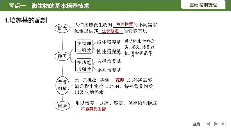 2024年高考生物大一轮选择性必修3复习课件：第45讲　微生物的培养技术及应用05