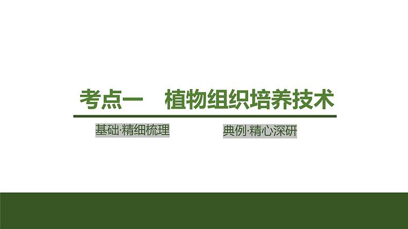 2024年高考生物大一轮选择性必修3复习课件：第46讲　植物细胞工程第4页