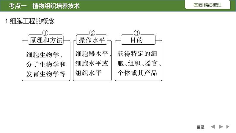 2024年高考生物大一轮选择性必修3复习课件：第46讲　植物细胞工程第5页