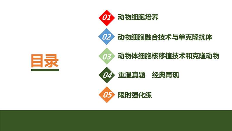 2024年高考生物大一轮选择性必修3复习课件：第47讲　动物细胞工程03