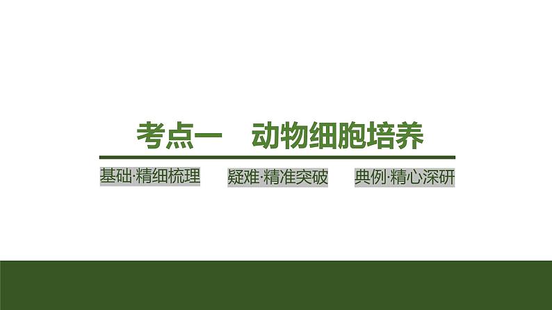 2024年高考生物大一轮选择性必修3复习课件：第47讲　动物细胞工程04