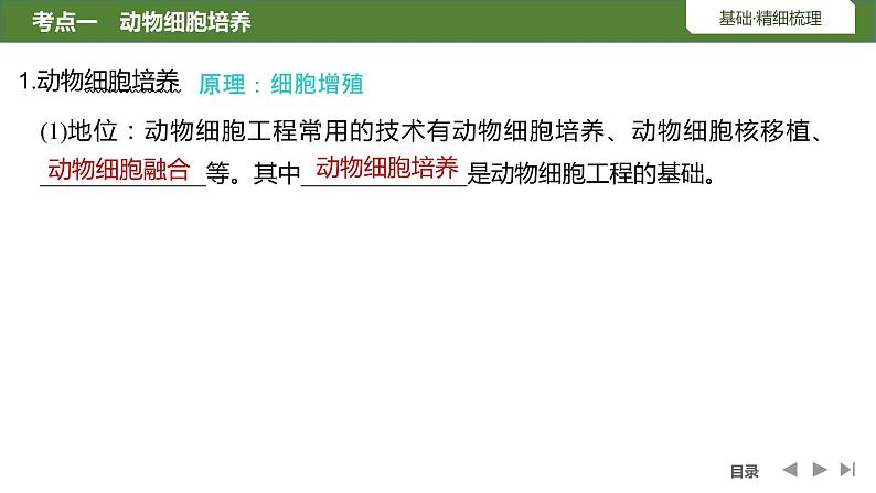 2024年高考生物大一轮选择性必修3复习课件：第47讲　动物细胞工程05