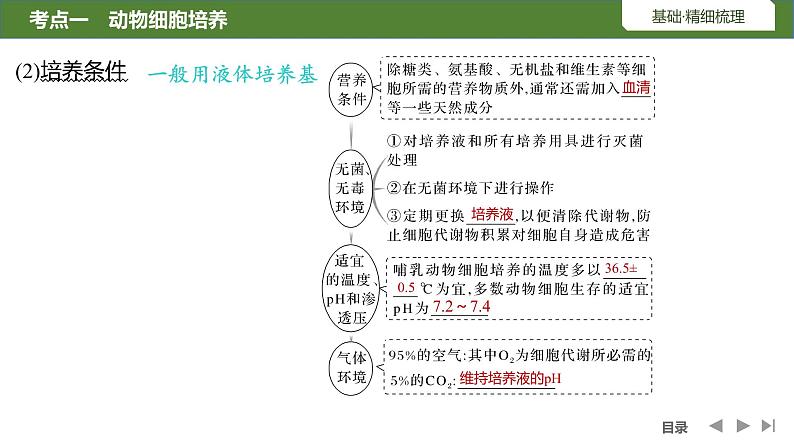 2024年高考生物大一轮选择性必修3复习课件：第47讲　动物细胞工程06