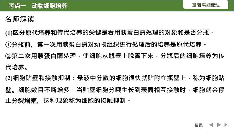 2024年高考生物大一轮选择性必修3复习课件：第47讲　动物细胞工程08