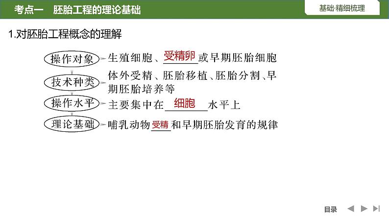 2024年高考生物大一轮选择性必修3复习课件：第48讲　胚胎工程05