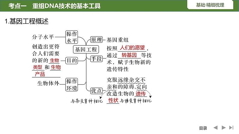 2024年高考生物大一轮选择性必修3复习课件：第49讲　基因工程的基本工具和基本操作程序05