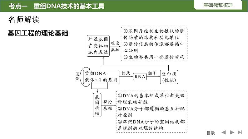 2024年高考生物大一轮选择性必修3复习课件：第49讲　基因工程的基本工具和基本操作程序06