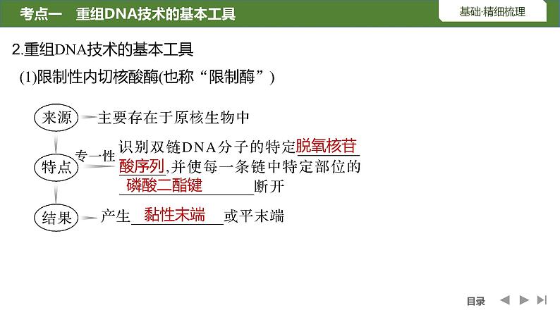 2024年高考生物大一轮选择性必修3复习课件：第49讲　基因工程的基本工具和基本操作程序07