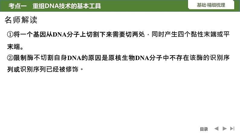 2024年高考生物大一轮选择性必修3复习课件：第49讲　基因工程的基本工具和基本操作程序08