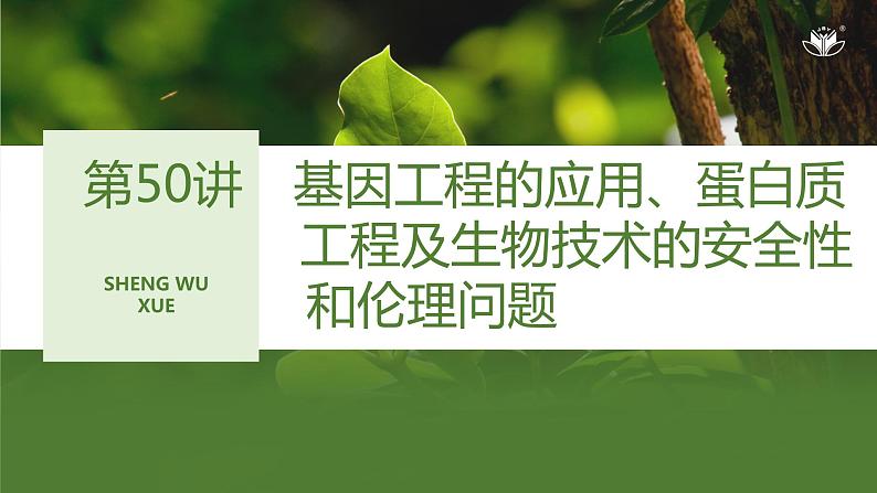 2024年高考生物大一轮选择性必修3复习课件：第50讲　基因工程的应用、蛋白质01