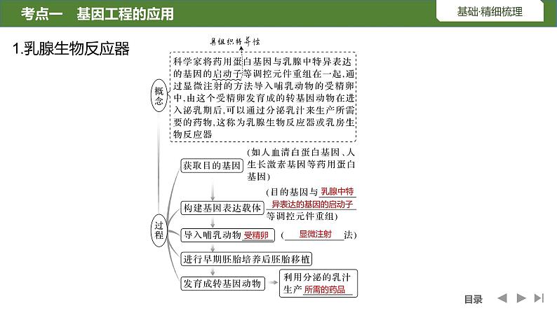 2024年高考生物大一轮选择性必修3复习课件：第50讲　基因工程的应用、蛋白质05