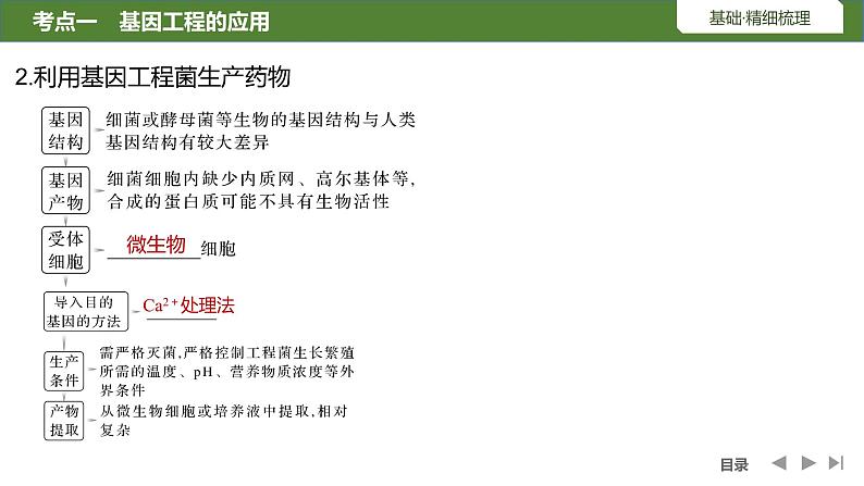 2024年高考生物大一轮选择性必修3复习课件：第50讲　基因工程的应用、蛋白质07