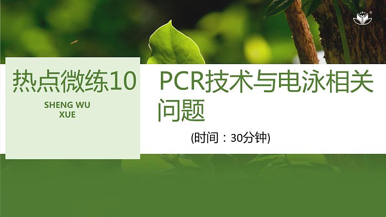 2024年高考生物大一轮选择性必修3复习课件：热点微练10 PCR技术与电泳相关问题第1页