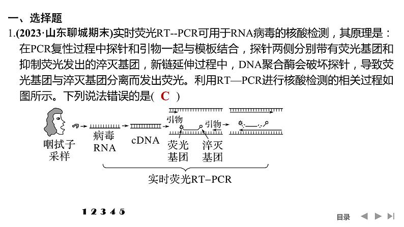 2024年高考生物大一轮选择性必修3复习课件：热点微练10 PCR技术与电泳相关问题第2页