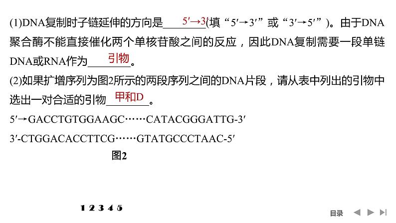 2024年高考生物大一轮选择性必修3复习课件：热点微练10 PCR技术与电泳相关问题第5页