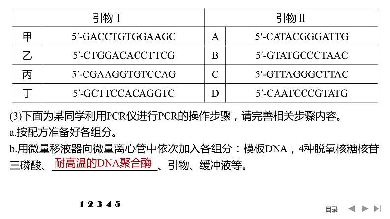 2024年高考生物大一轮选择性必修3复习课件：热点微练10 PCR技术与电泳相关问题第6页