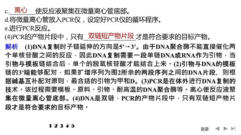 2024年高考生物大一轮选择性必修3复习课件：热点微练10 PCR技术与电泳相关问题第7页