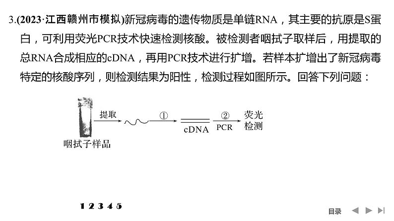 2024年高考生物大一轮选择性必修3复习课件：热点微练10 PCR技术与电泳相关问题第8页